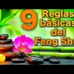 Tirar cosas viejas con Feng Shui: Consejos prácticos