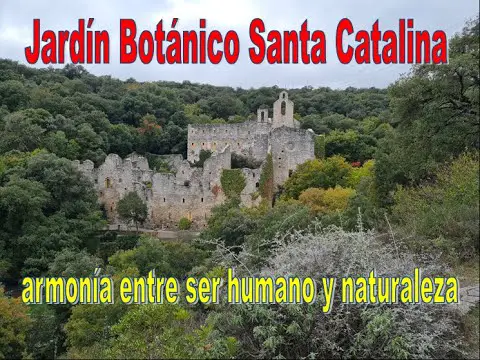 Jardín Botánico de Santa Catalina: Descubre la naturaleza en su máximo esplendor.