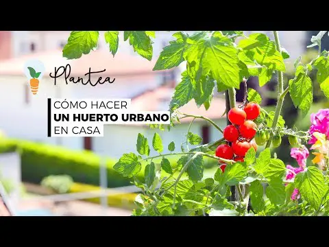 Guía para hacer un huerto urbano en casa.