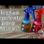 Remedios caseros para moscas: soluciones prácticas y efectivas.