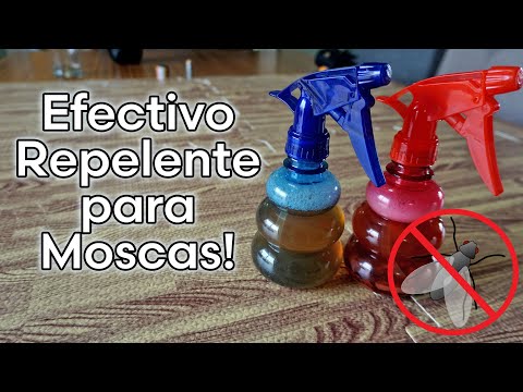 Remedios caseros para moscas: soluciones prácticas y efectivas.