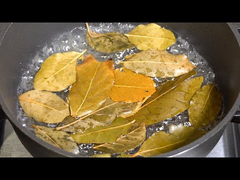 Descubre los secretos de la cocina de tu casa