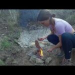 Camping de cabañas de madera: disfruta de la naturaleza en familia