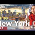 Descubre la capital de Nueva York en este artículo