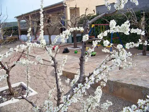 Casas Rurales cerca del Monasterio de Piedra - Descubre la naturaleza