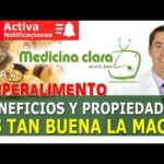 Propiedades de la infusión de maca y jengibre.