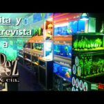 Tiendas de peces en Valladolid: Encuentra la mejor selección