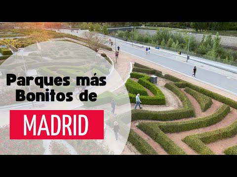 Los parques más bonitos de Madrid: ¡Descubre sus secretos!