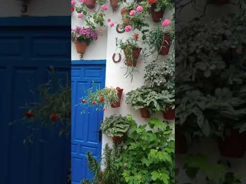 Casa de las Campanas en Córdoba: Descubre su historia y encanto