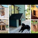 Casetas para perros de obra: la solución perfecta para tu mascota