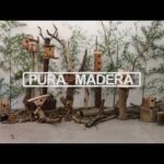 Casas de madera para pájaros - Diseños únicos y resistentes