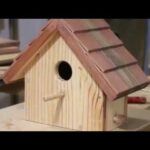 Casa de pájaros de madera: el hogar perfecto para tus amigos alados