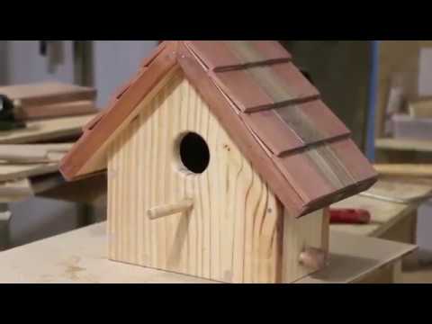 Casa de pájaros de madera: el hogar perfecto para tus amigos alados