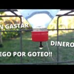 Botella de riego por goteo casero: ¡Cuida tus plantas fácilmente!