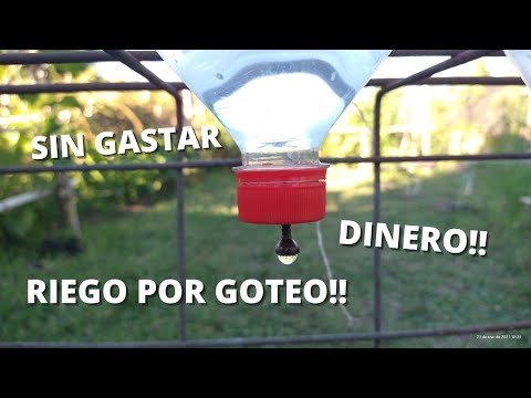 Botella de riego por goteo casero: ¡Cuida tus plantas fácilmente!