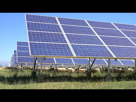 Placas solares en el suelo: la solución energética sostenible