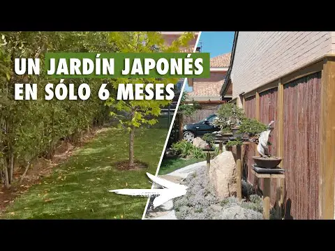 Patio Jardín Japonés: Crea un Oasis Zen en Casa