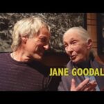 Descubre datos curiosos de Jane Goodall