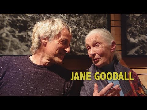 Descubre datos curiosos de Jane Goodall