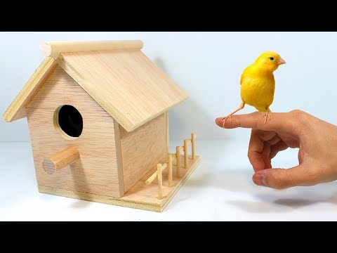 Casita para pájaros de madera: el hogar perfecto para tus amigos alados