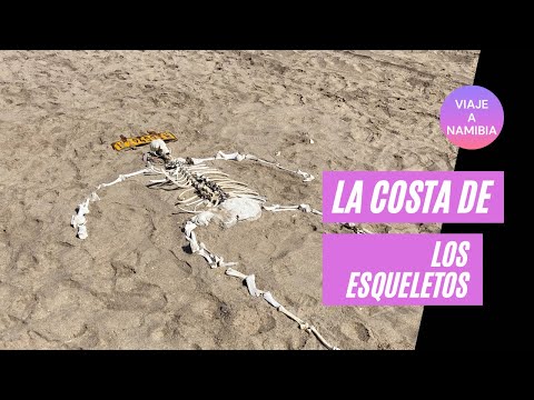 Descubre la Costa de los Esqueletos en Namibia: Un paraíso salvaje