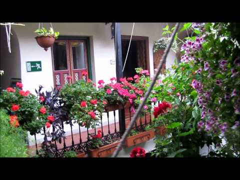 Patio de casa de pueblo: un oasis en la ciudad