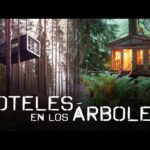 Hotel cabañas en los árboles: alojamiento único en la naturaleza