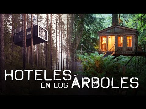 Hotel cabañas en los árboles: alojamiento único en la naturaleza