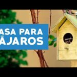 Cómo hacer casitas de pájaros: Guía paso a paso.