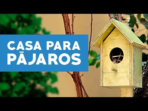 Cómo hacer casitas de pájaros: Guía paso a paso.