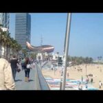 Pez en el paseo marítimo de Barcelona: una experiencia única