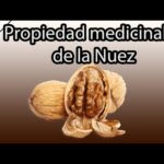 Para qué sirven los nueces: beneficios y usos.