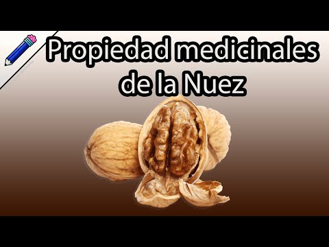 Para qué sirven los nueces: beneficios y usos.