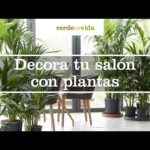 Decora tu salón con plantas: ideas y consejos