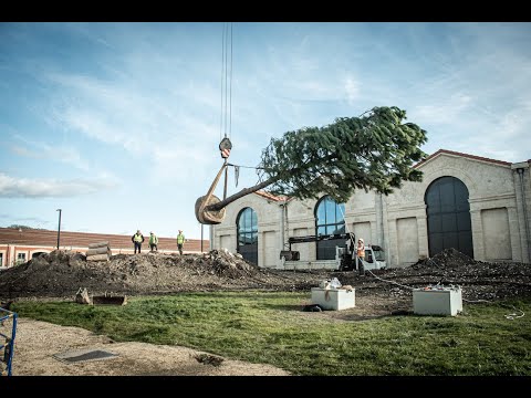 Descubre Luma Arles: Parc des Ateliers