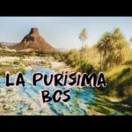 Descubre Todos Santos, Baja California Sur: Oasis en el Desierto