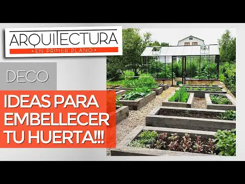 Huerto con casita en Oliva: la opción perfecta para disfrutar del campo