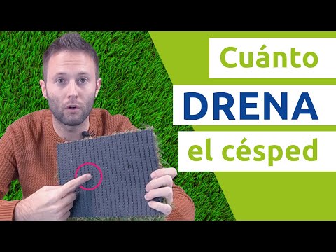 Beneficios y cuidados del césped artificial en espacios interiores