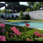 Claves para diseñar un jardín con piscina de ensueño