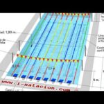 El tamaño de una piscina olímpica: todo lo que necesitas saber