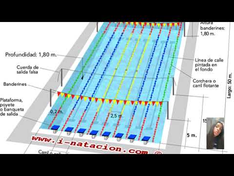 El tamaño de una piscina olímpica: todo lo que necesitas saber