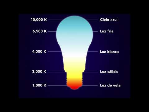 La temperatura de color de la luz neutra: ¿Cuántos kelvin necesitas?