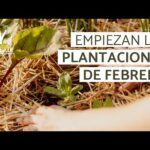 Las mejores opciones de cultivo para el mes de febrero en España