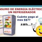 El consumo mensual de energía de un congelador: todo lo que necesitas saber