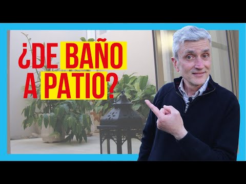 Ideas para embellecer los patios interiores