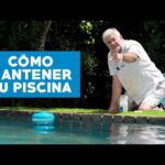 Mantén tu piscina impecable con estos consejos de limpieza exterior