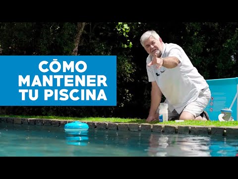 Mantén tu piscina impecable con estos consejos de limpieza exterior