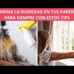 Elimina la humedad de tus paredes de forma efectiva y duradera