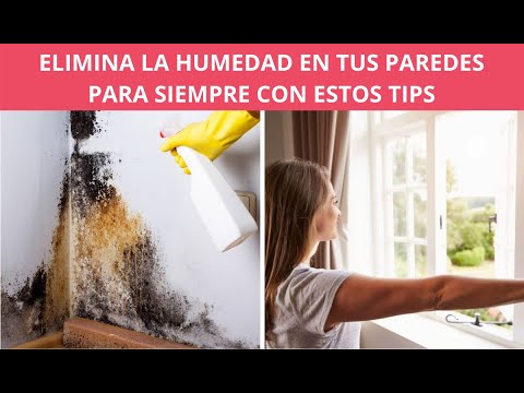 Elimina la humedad de tus paredes de forma efectiva y duradera