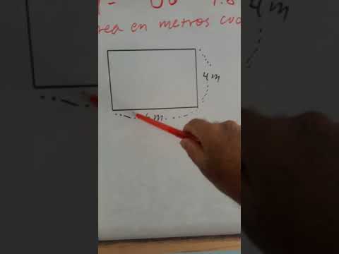 Guía práctica para calcular metros cuadrados de forma precisa